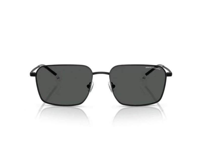 Armani Exchange Lunettes de Soleil AX 2053S 600087