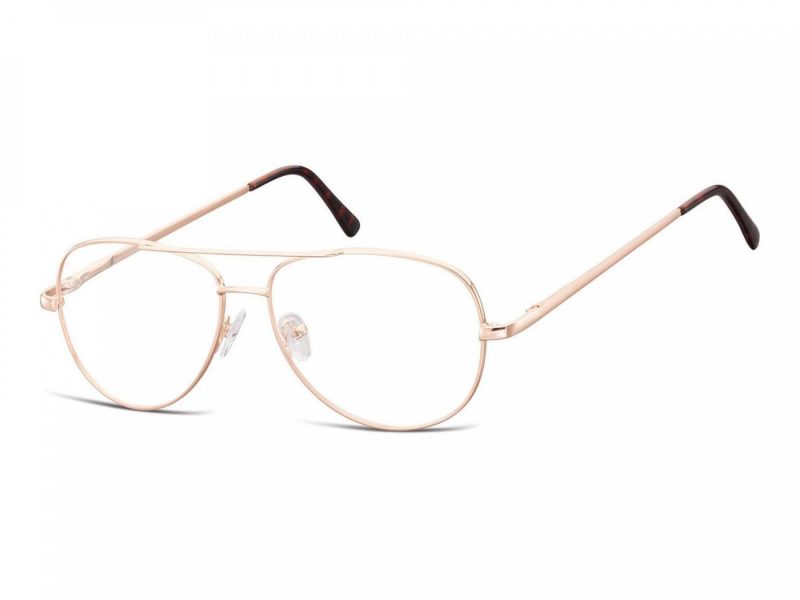 Berkeley lunettes pour ordinateur 790C