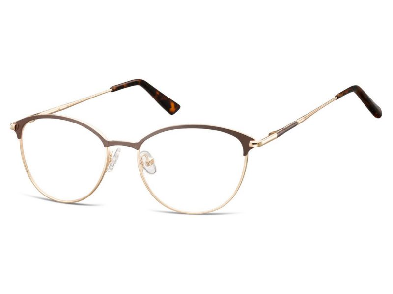 Berkeley lunettes pour ordinateur 891B