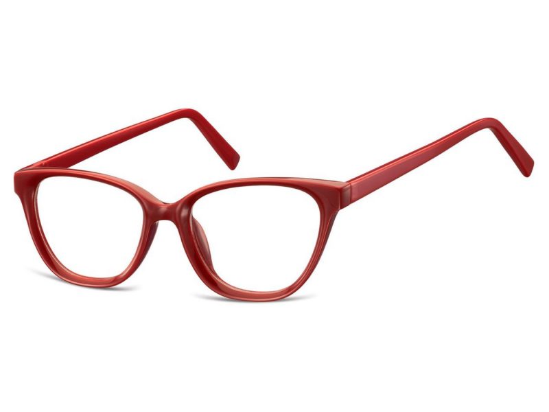 Berkeley lunettes pour ordinateur AC394E