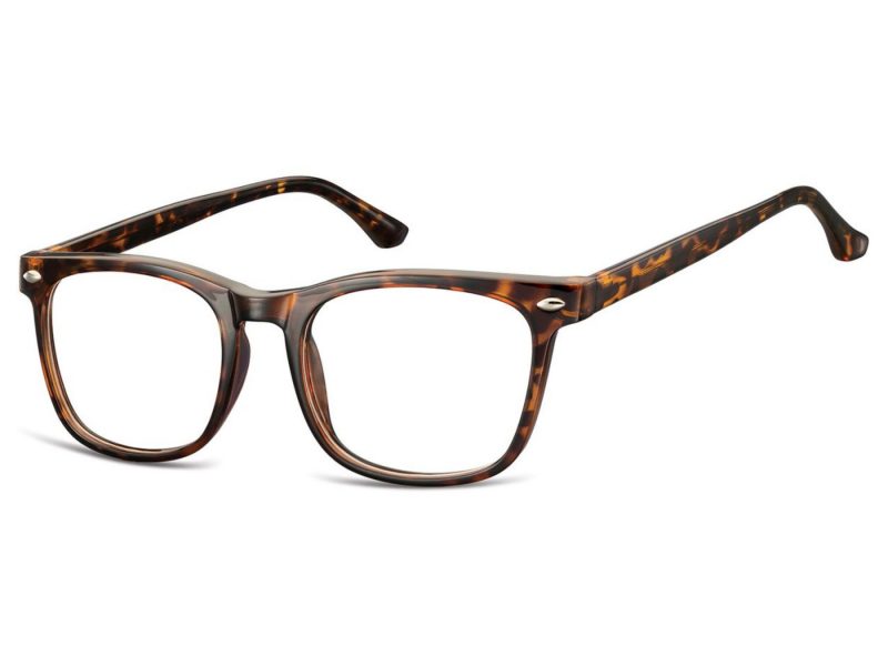 Berkeley lunettes pour ordinateur CP112A