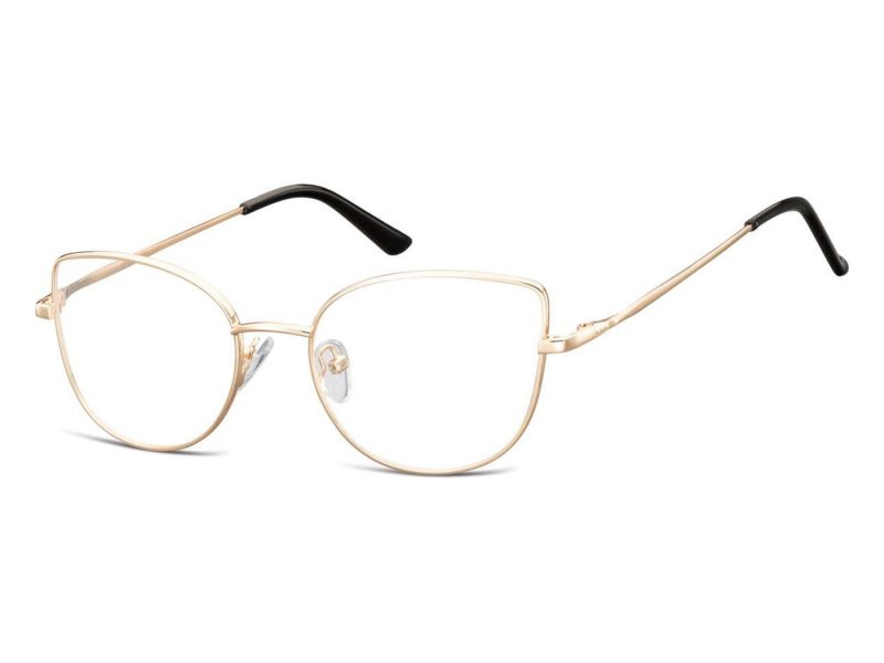 Berkeley lunettes pour ordinateur L119C