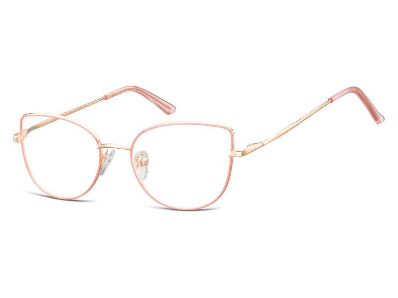 Berkeley lunettes pour ordinateur L119D