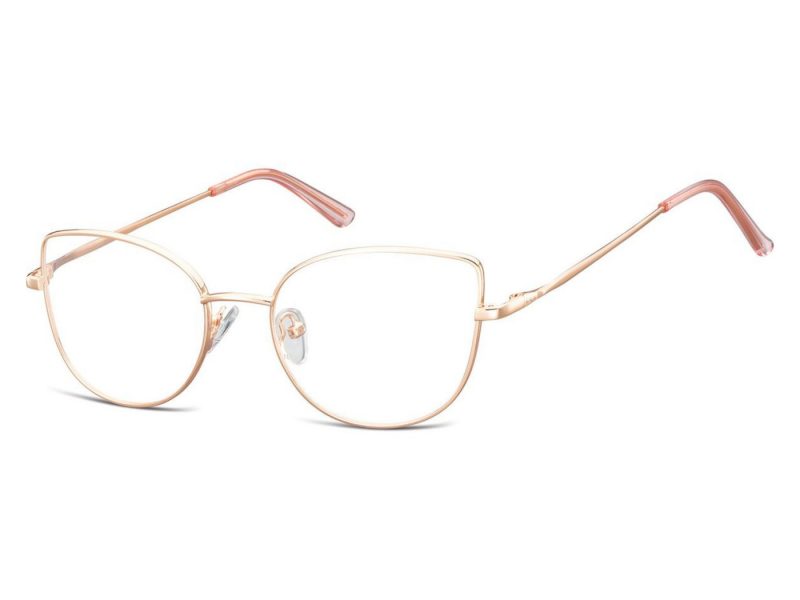 Berkeley lunettes pour ordinateur L119F