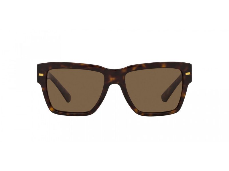 Dolce & Gabbana Lunettes de Soleil DG 4431 502/73