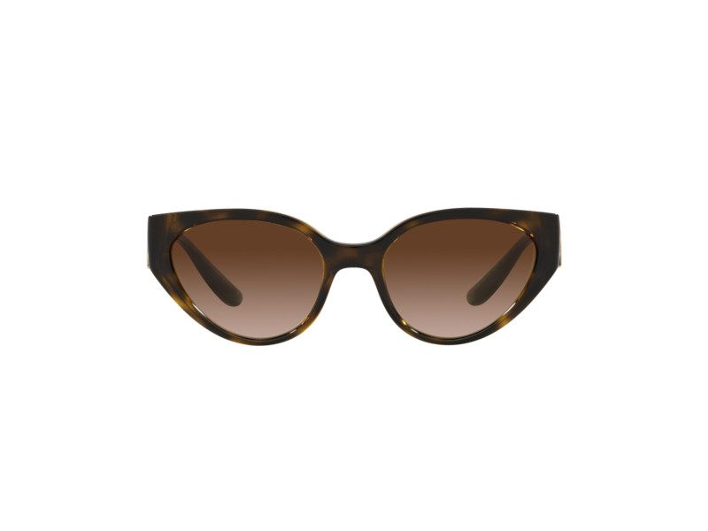 Dolce & Gabbana Lunettes de Soleil DG 6146 502/13