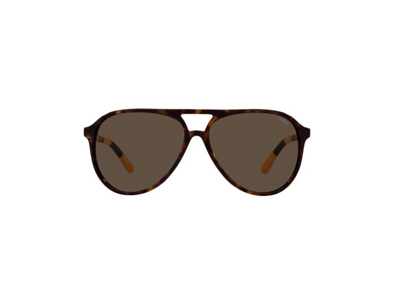 Polo Lunettes de Soleil PH 4173 5003/73