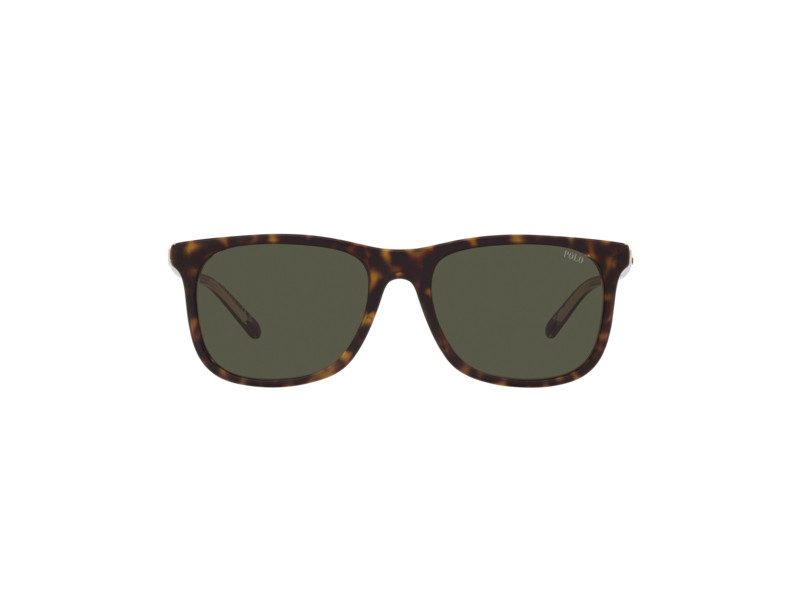 Polo Lunettes de Soleil PH 4186U 6027/82