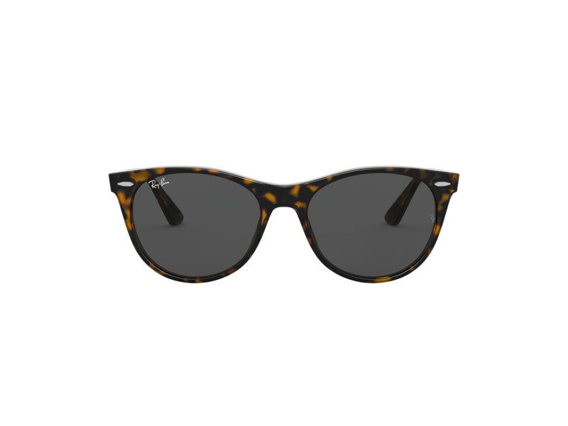 Ray-Ban Wayfarer Ii Lunettes de Soleil RB 2185 1292/B1