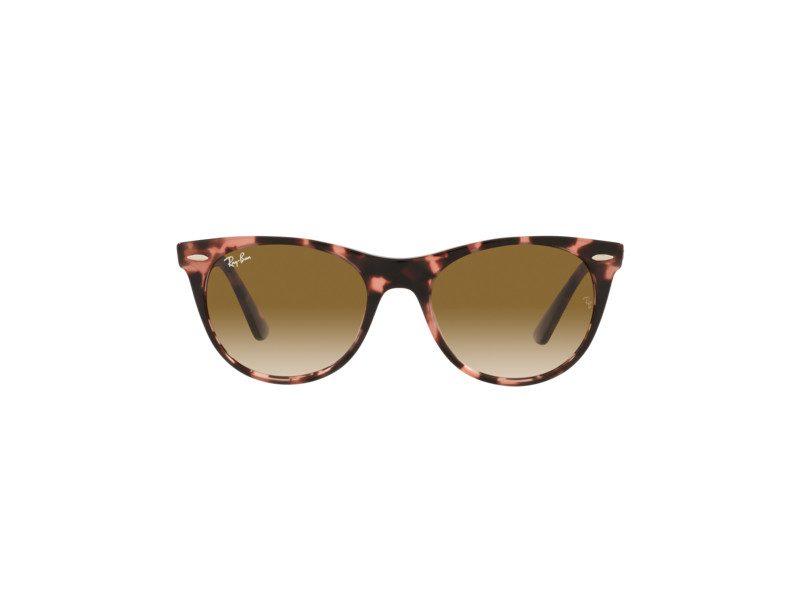 Ray-Ban Wayfarer Ii Lunettes de Soleil RB 2185 1334/51