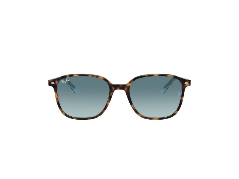 Ray-Ban Leonard Lunettes de Soleil RB 2193 1316/3M