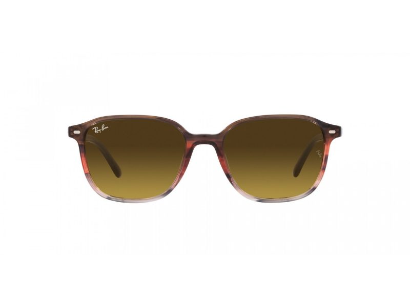 Ray-Ban Leonard Lunettes de Soleil RB 2193 138085