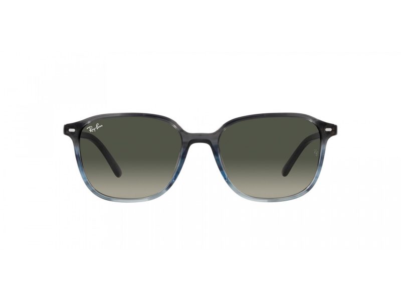 Ray-Ban Leonard Lunettes de Soleil RB 2193 138171