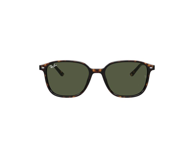 Ray-Ban Leonard Lunettes de Soleil RB 2193 902/31