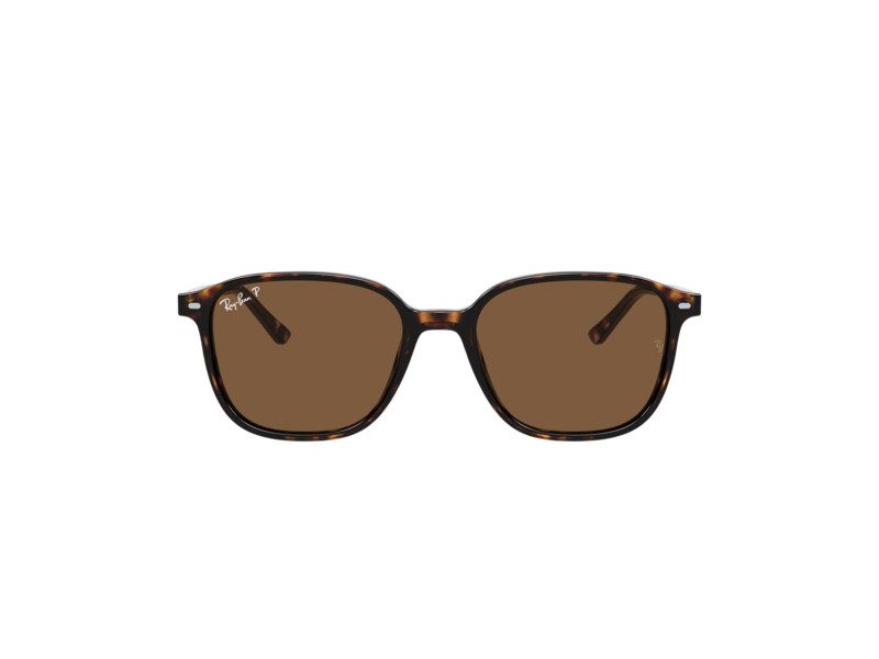 Ray-Ban Leonard Lunettes de Soleil RB 2193 902/57