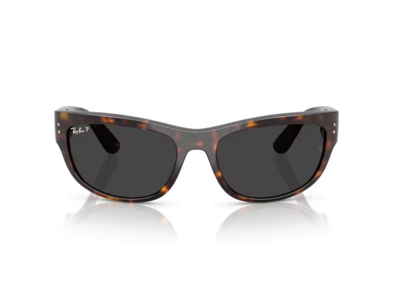 Ray-Ban Mega Balorama Lunettes de Soleil RB 2289 902/48