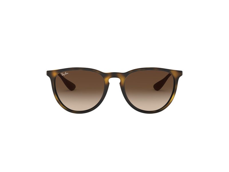 Ray-Ban Erika Lunettes de Soleil RB 4171 865/13