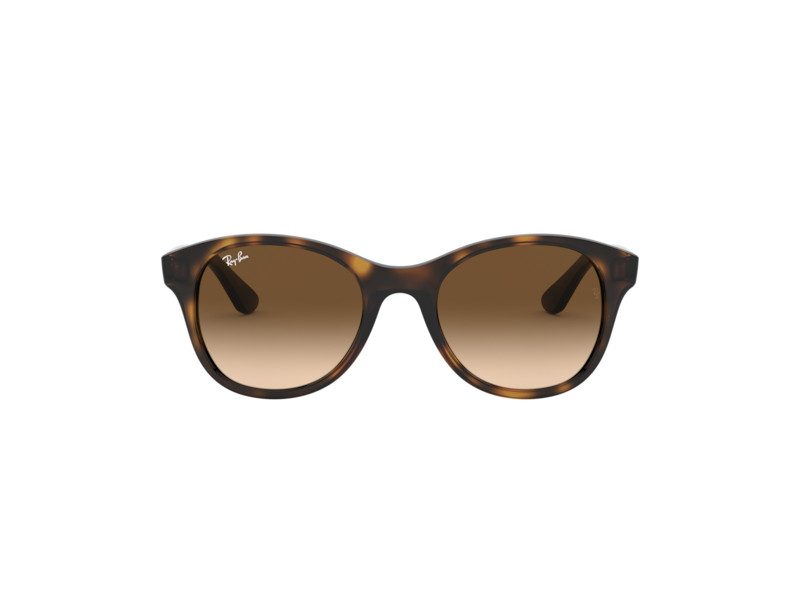 Ray-Ban Lunettes de Soleil RB 4203 710/13