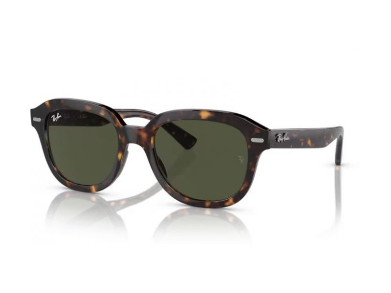 Ray-Ban Erik Lunettes de Soleil RB 4398 902/31