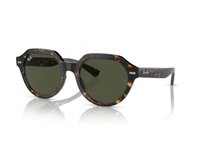 Ray-Ban Gina Lunettes de Soleil RB 4399 902/31