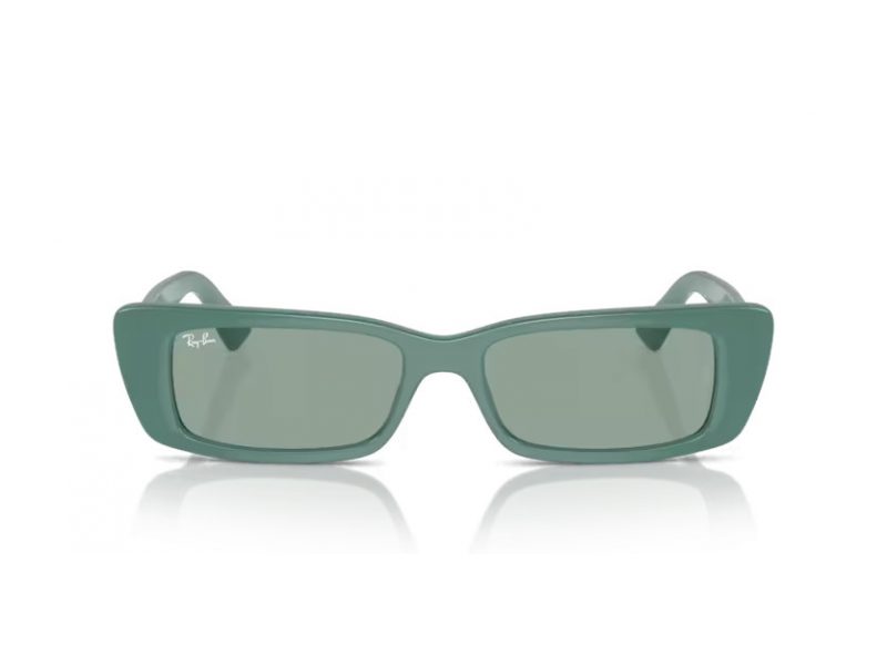 Ray-Ban Teru Lunettes de Soleil RB 4425 676282