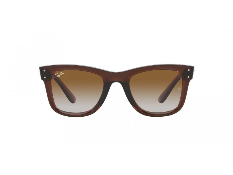 Ray-Ban Wayfarer Reverse Lunettes de Soleil RB R0502S 6709CB