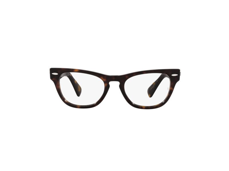 Ray-Ban Laramie Lunettes de Vue RX 2201V 2012