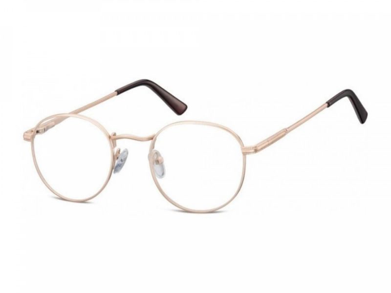 Berkeley lunettes 604 F