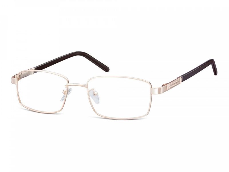 Berkeley lunettes 659 D