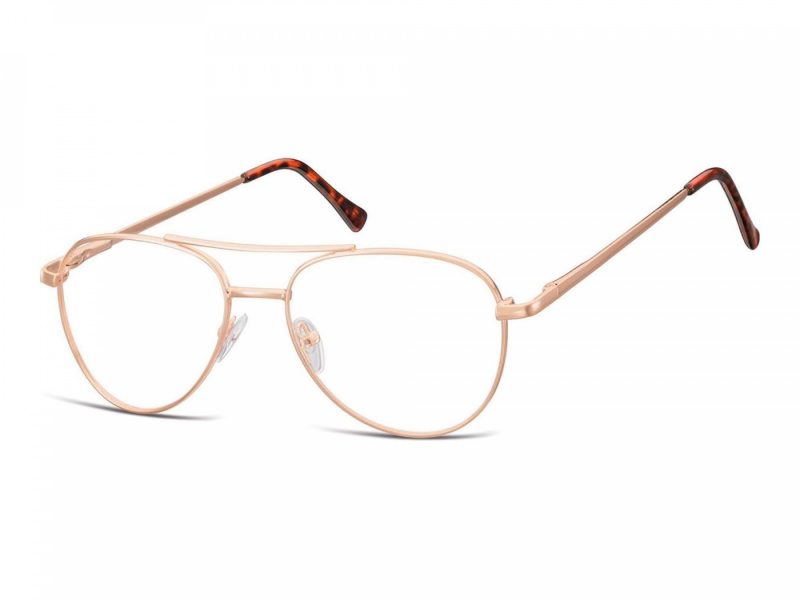 Berkeley lunettes 789D