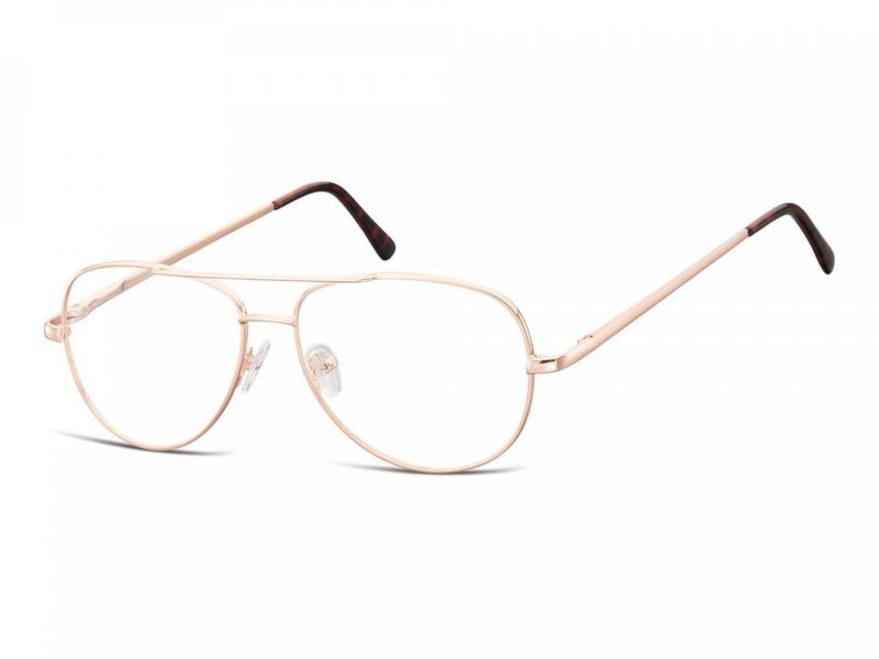 Berkeley lunettes 790C