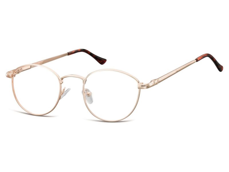 Berkeley lunettes 793C