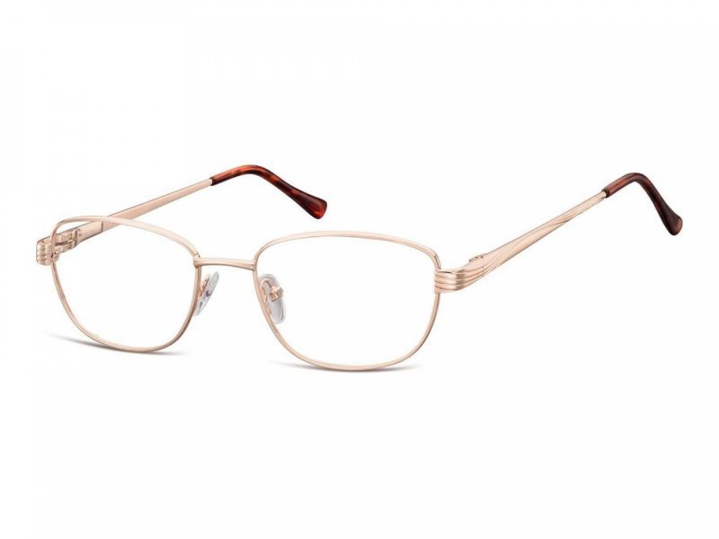 Berkeley lunettes 796 C