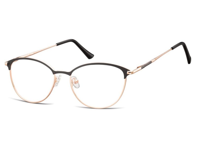 Berkeley lunettes 891A