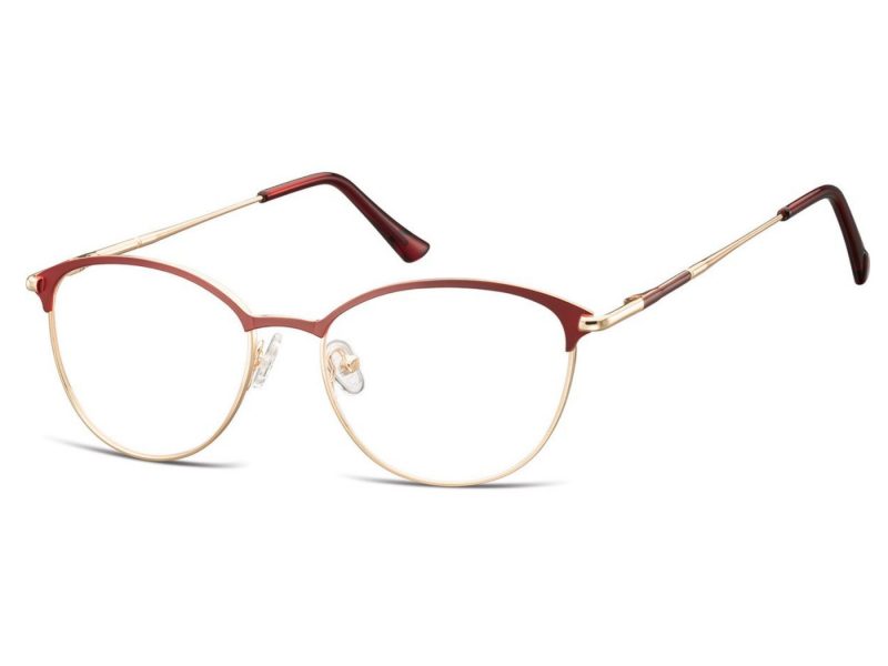 Berkeley lunettes 891C