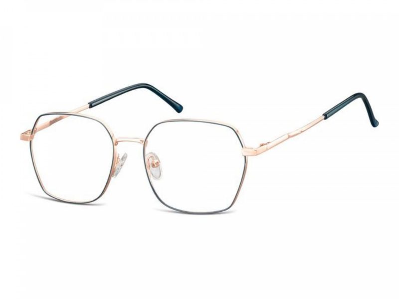 Berkeley lunettes 913C