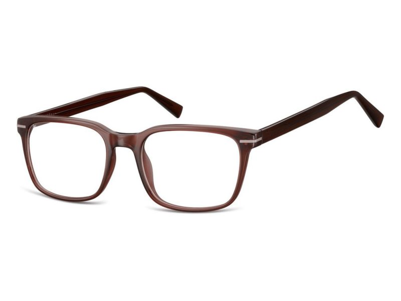 Berkeley lunettes CP119D