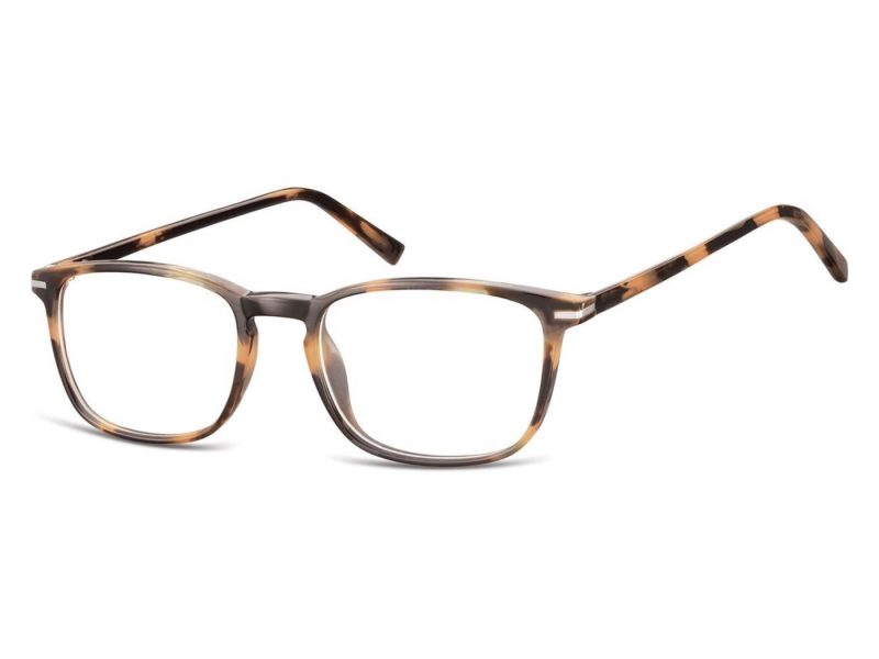 Berkeley lunettes CP120D