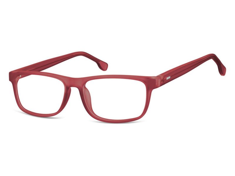 Berkeley lunettes CP122H