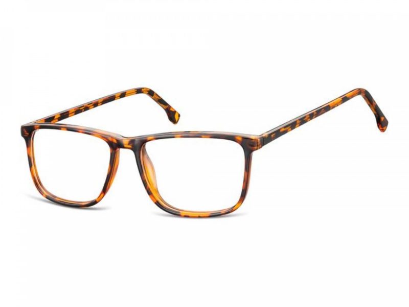 Berkeley lunettes CP132B