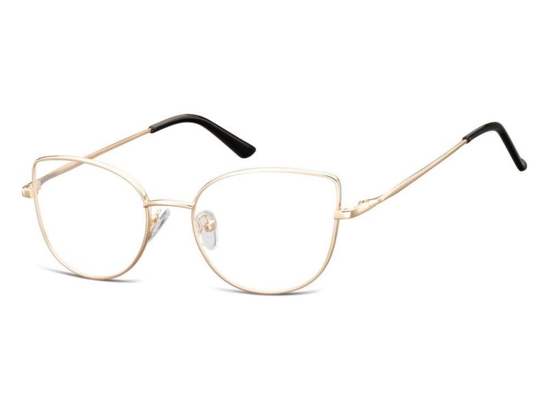 Berkeley lunettes L119C