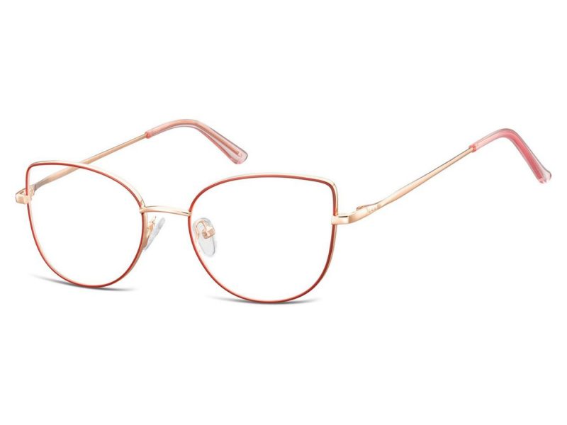 Berkeley lunettes L119