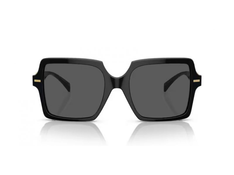 Versace Lunettes de Soleil VE 4441 GB1/87